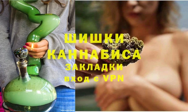 индика Бикин