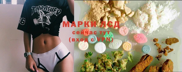 дмт Билибино