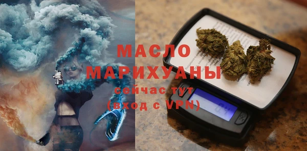 индика Бикин