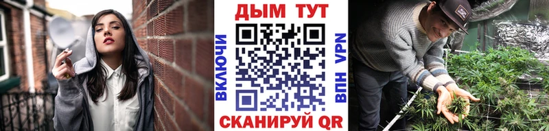 Бошки Шишки гибрид  Купить закладки  Комсомольск 